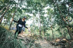 BIB: 
                            <button type="button" onclick="openModal(25982182)" class="btn btn-primary btn-sm float-right btn-popup" data-toggle="modal" data-target=".modal-high-quality">
                        <i class="fas fa-shopping-cart"></i> Add to Cart
                    </button>
                                            <button type="button" onclick="isThisMe(25982182, true)" class="btn btn-success btn-sm float-right btn-popup btn-isme hidden" data-toggle="tooltip" data-placement="bottom" title="นี่คือรูปของคุณใช่ไหม คลิกที่นี่เพื่อเอาเข้าอัลบั้ม">
                        <i class="fas fa-plus"></i> Add to album
                    </button>
                    <button type="button" onclick="isThisMe(25982182, false)" class="btn btn-warning btn-sm float-right btn-popup btn-isnotme hidden">
                        <i class="fas fa-ban"></i> Remove from album
                    </button>